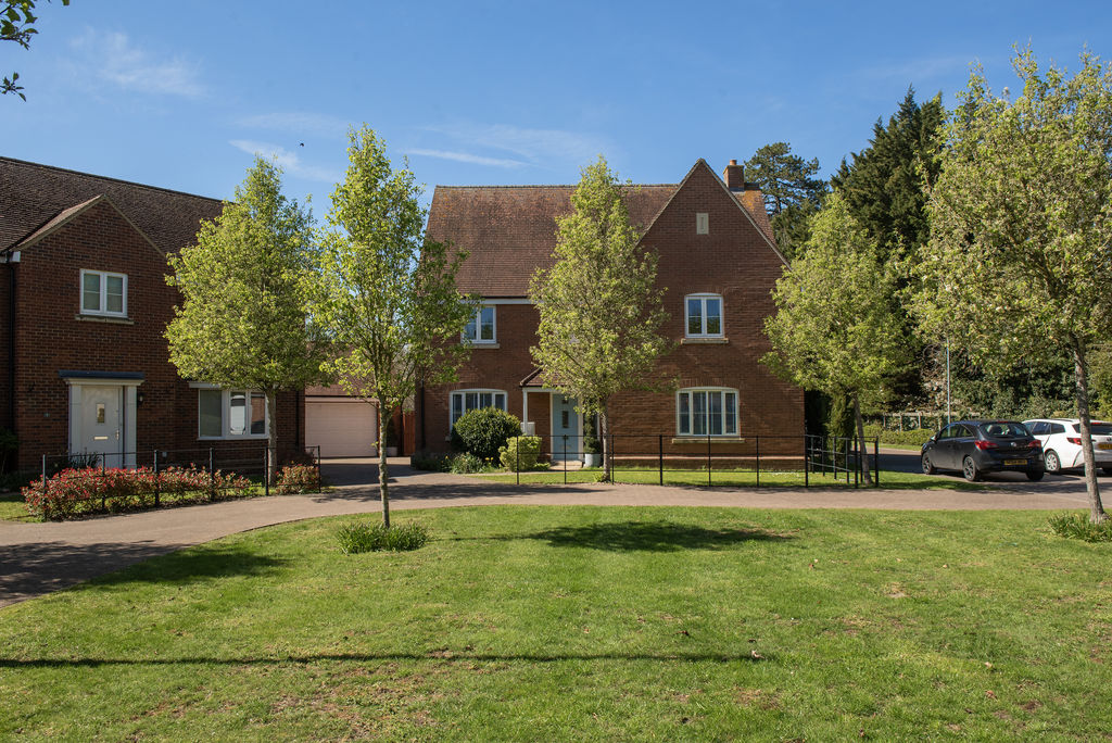 Main Image